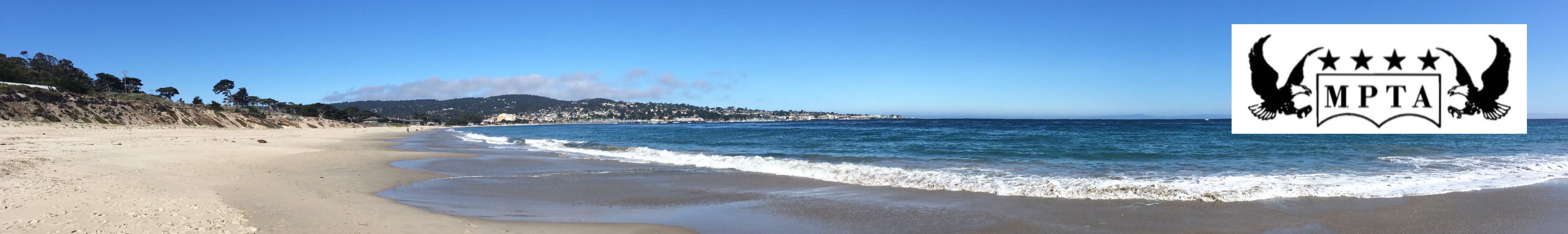Monterey Peninsula Taxpayers Association Newsletter May 2018: Voting Guide, Water District Lawsuit, Choosing Your Electricity Supplier